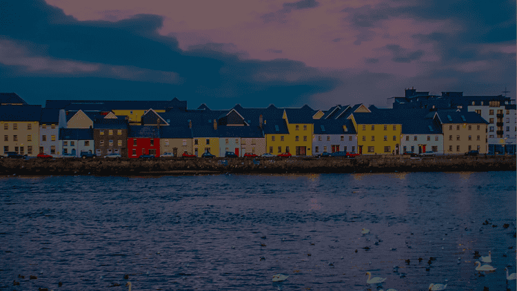 seo white label services